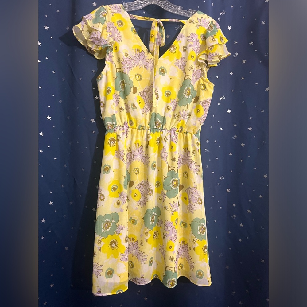Ann Taylor dress! With a beautiful floral print!